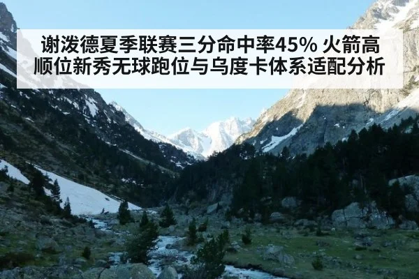 谢泼德夏季联赛三分命中率45% 火箭高顺位新秀无球跑位与乌度卡体系适配分析