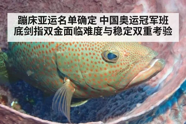 蹦床亚运名单确定 中国奥运冠军班底剑指双金面临难度与稳定双重考验